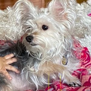 Meet your Posher, Naomi